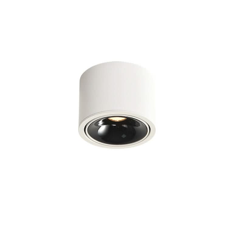 Adjustable LED Flush Mount Ceiling Spotlight