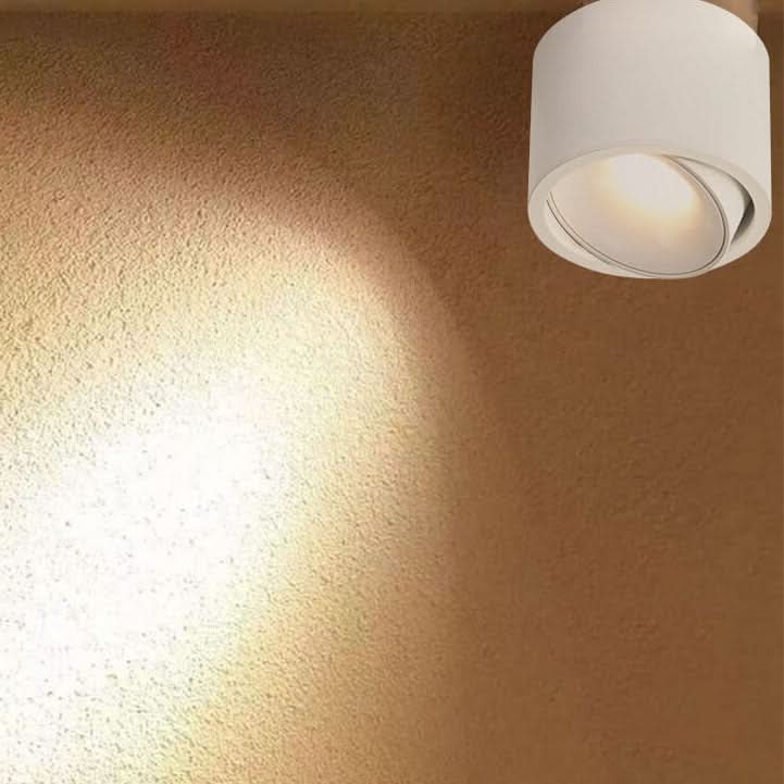 Adjustable LED Flush Mount Ceiling Spotlight