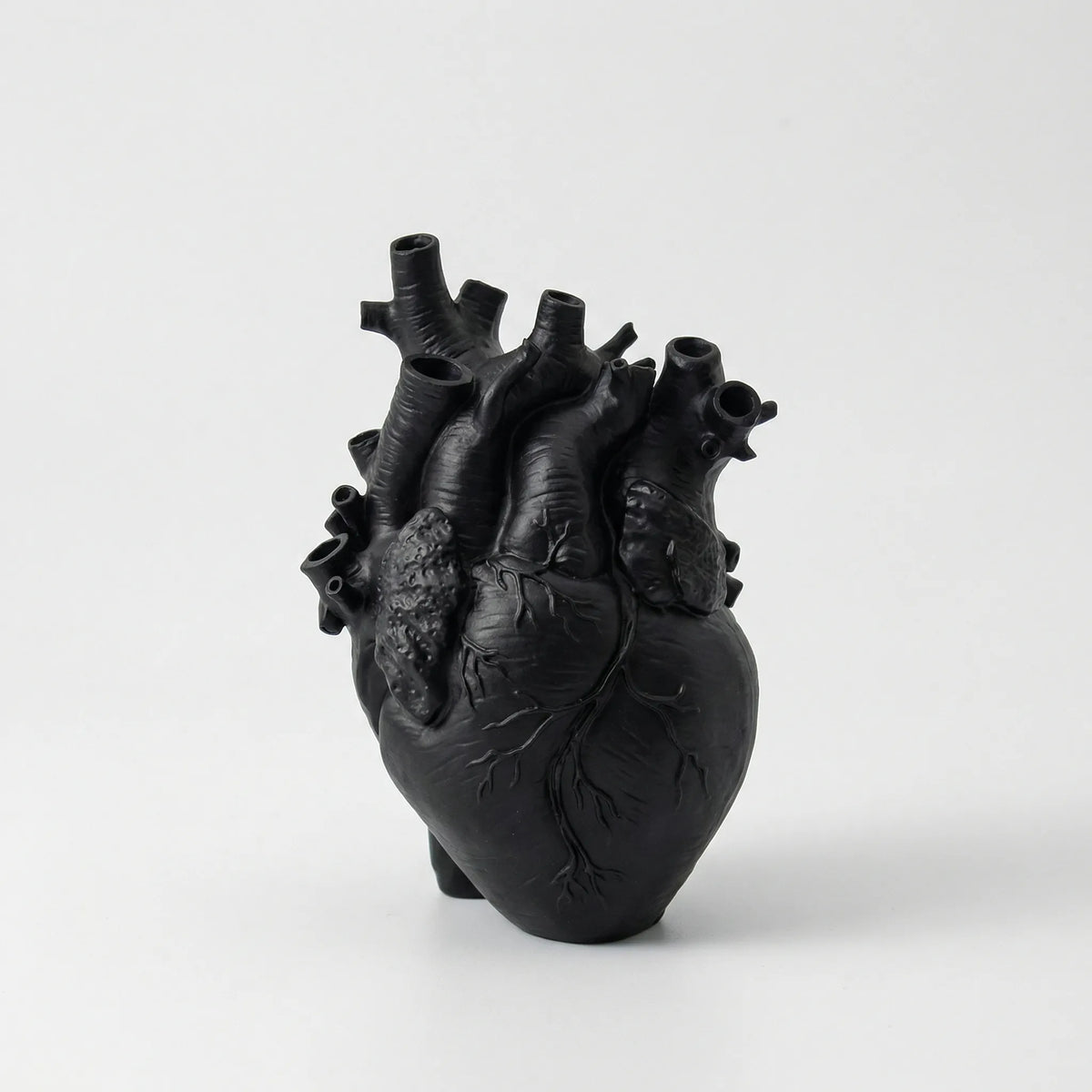 Anatomical Heart-Shaped Vase