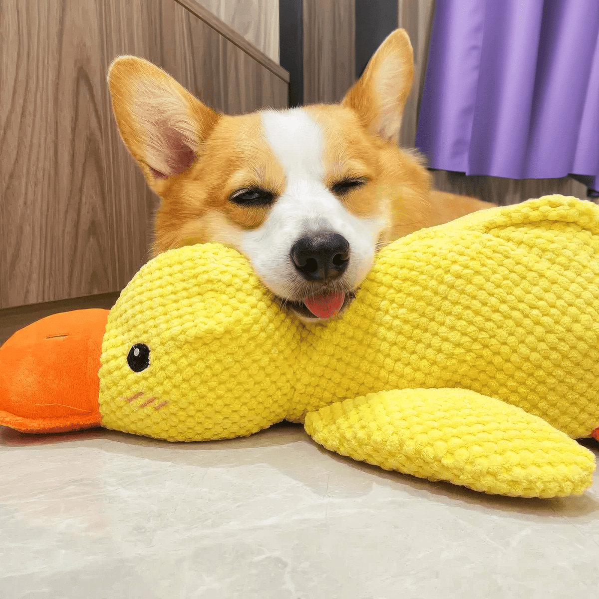 Calming Durable Duck Toy