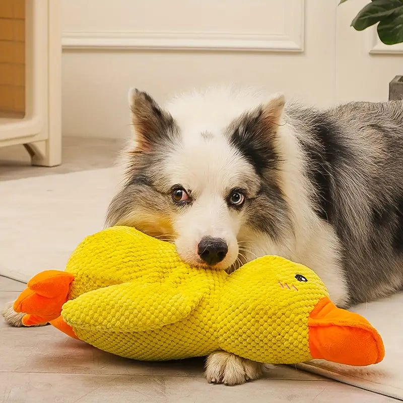 Calming Durable Duck Toy