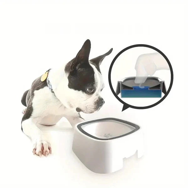 Dog Water Bowl