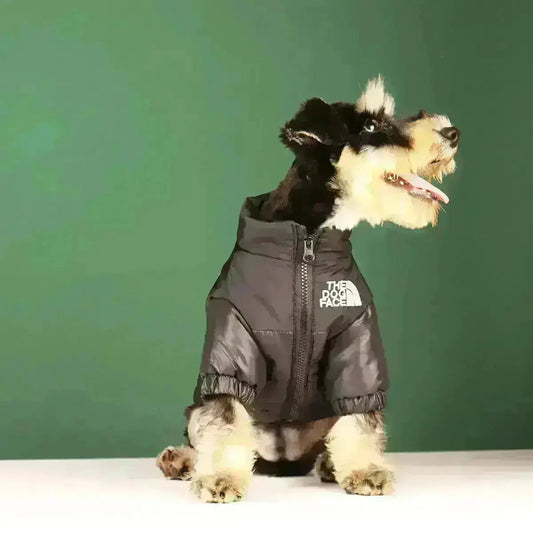 Bel Hills | Dog Winter Jacket | Insulated and Windproof