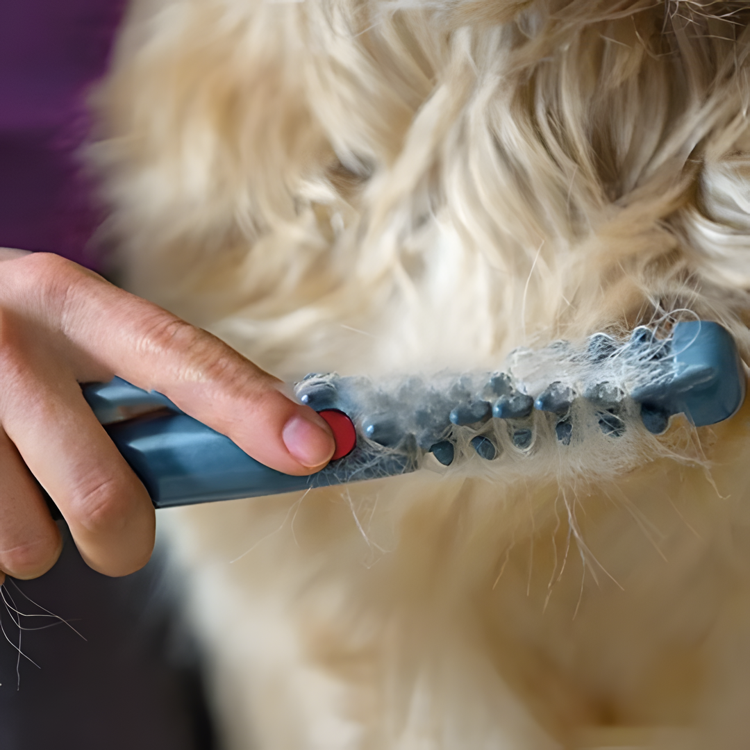 Bel Hills | No more knots and tangles for your pet