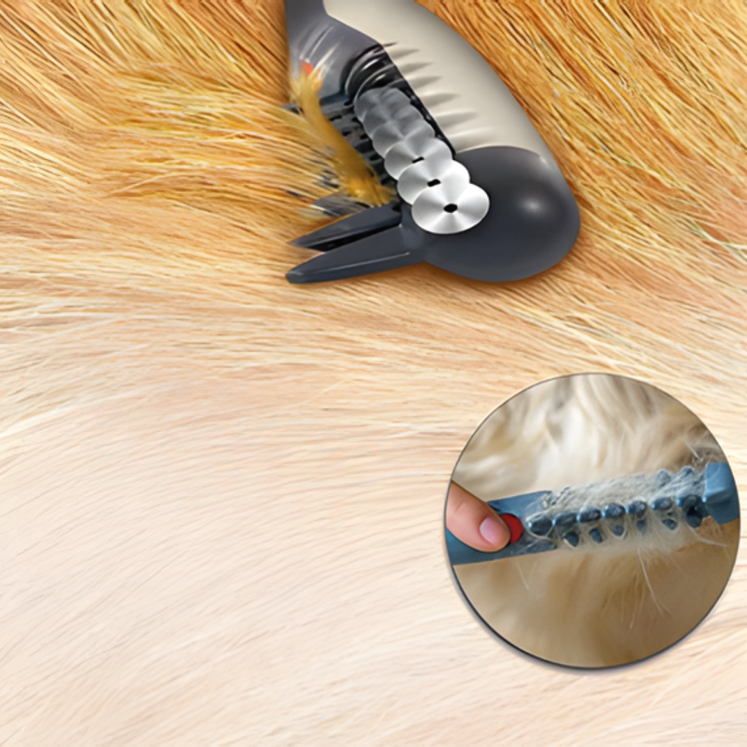 Bel Hills | No more knots and tangles for your pet