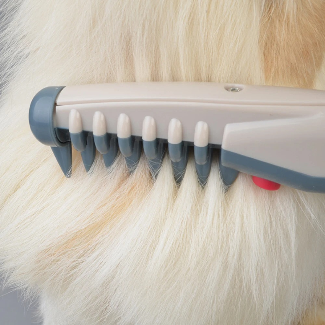 Bel Hills | No more knots and tangles for your pet