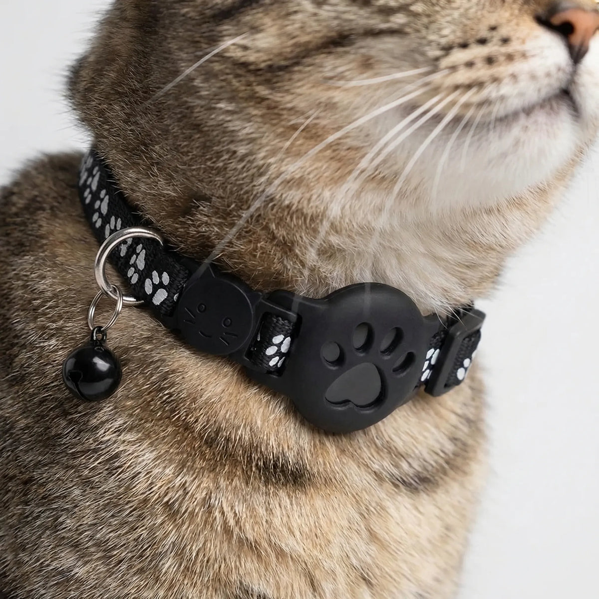 Bel Hills | Pawtrackr GPS-Enabled Adjustable Pet Collar