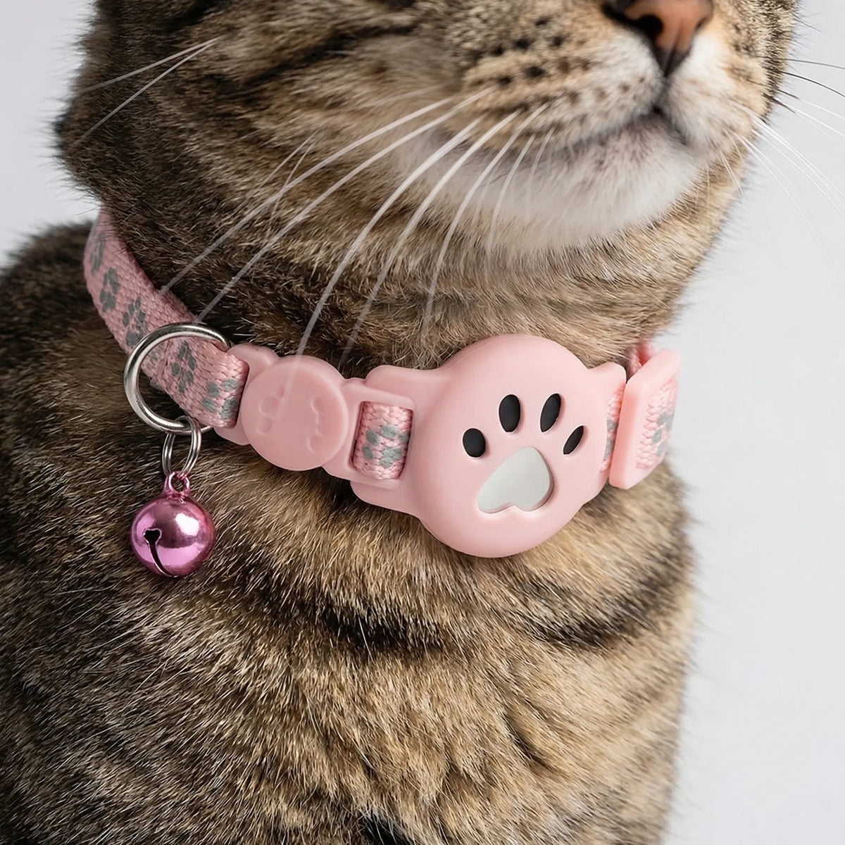 Bel Hills | Pawtrackr GPS-Enabled Adjustable Pet Collar