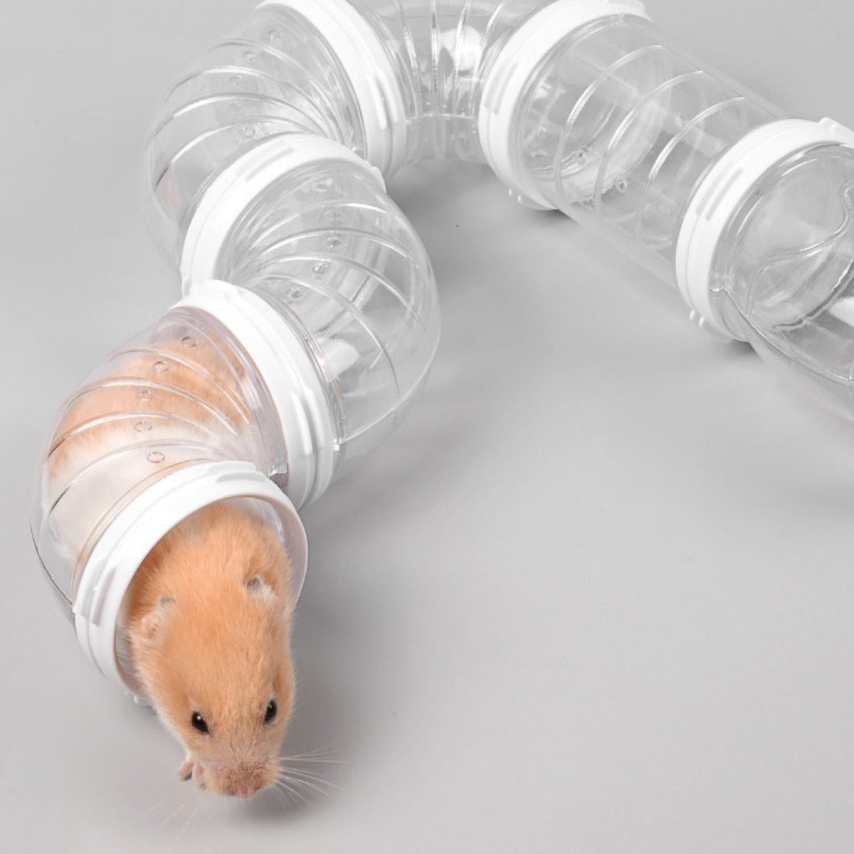 Hamster Tube Toy Set | Fun DIY Tunnel for Active Play and Exploration