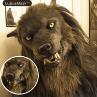 Realistic Wolf Mask for Halloween Costumes