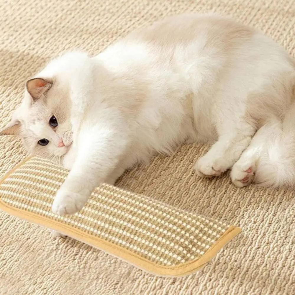 Soft Cat Scratching Pillow with Durable Scratch Surface