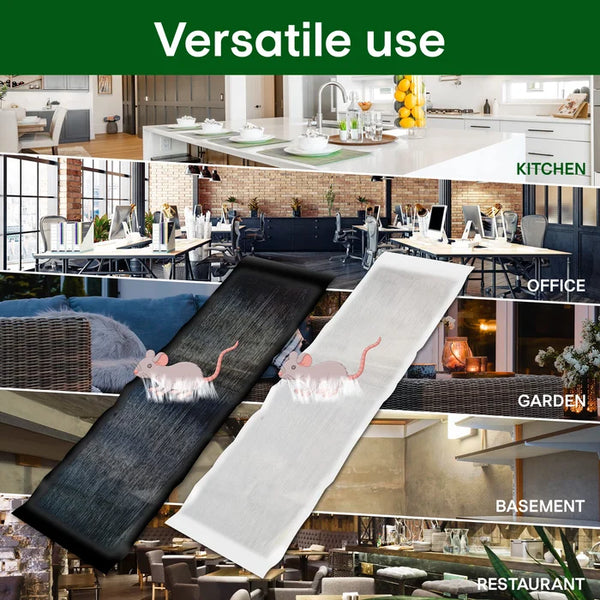 Strong Rat Glue Trap | Extra-Strong Adhesive Formula | Odorless