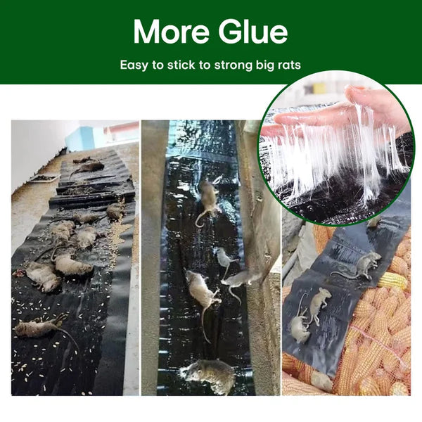Strong Rat Glue Trap | Extra-Strong Adhesive Formula | Odorless