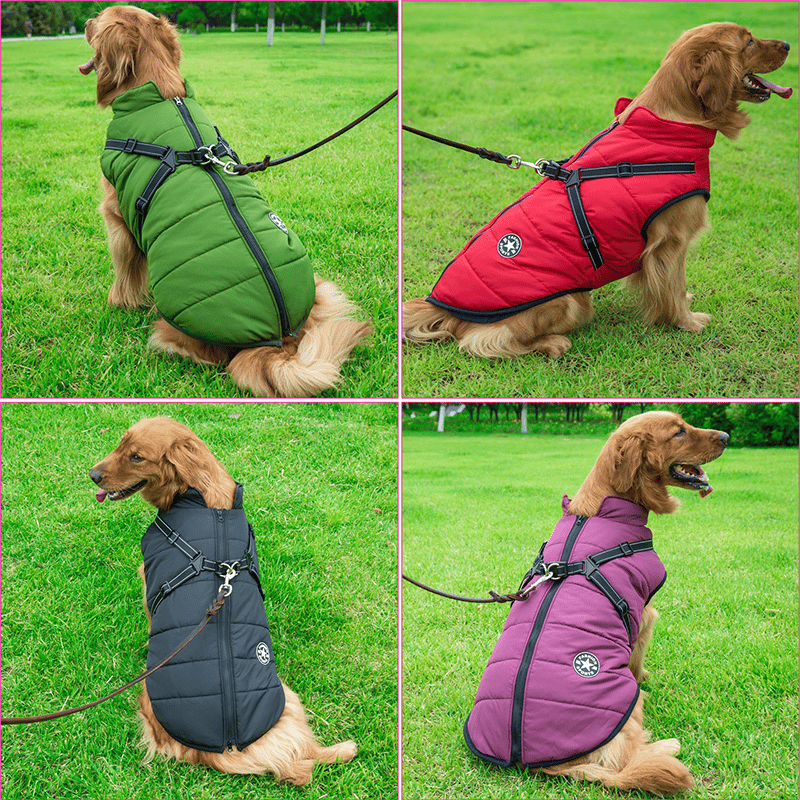 Waterproof Winter Dog Coat with Harness