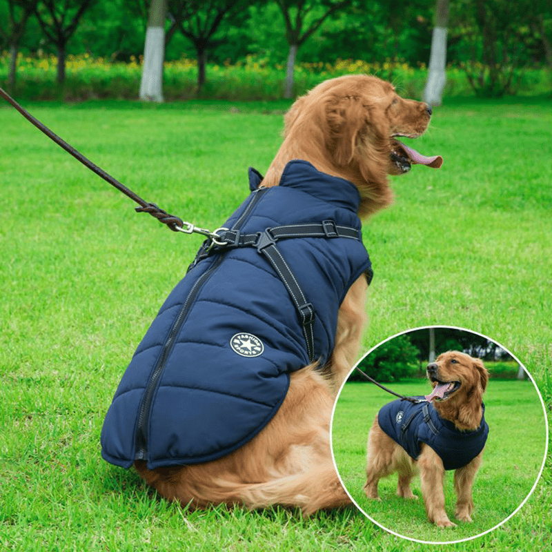 Waterproof Winter Dog Coat with Harness