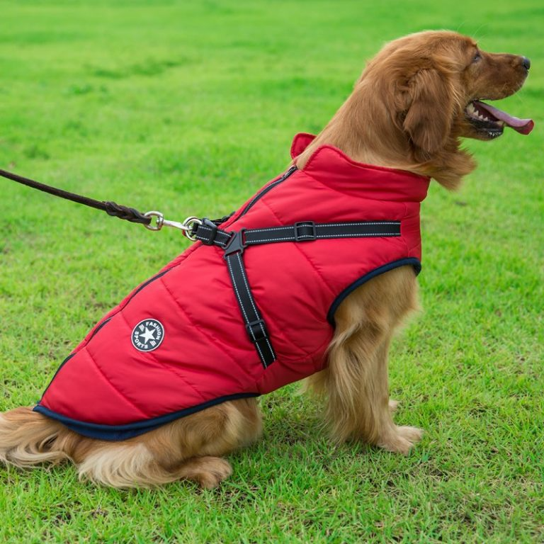 Waterproof Winter Dog Coat with Harness