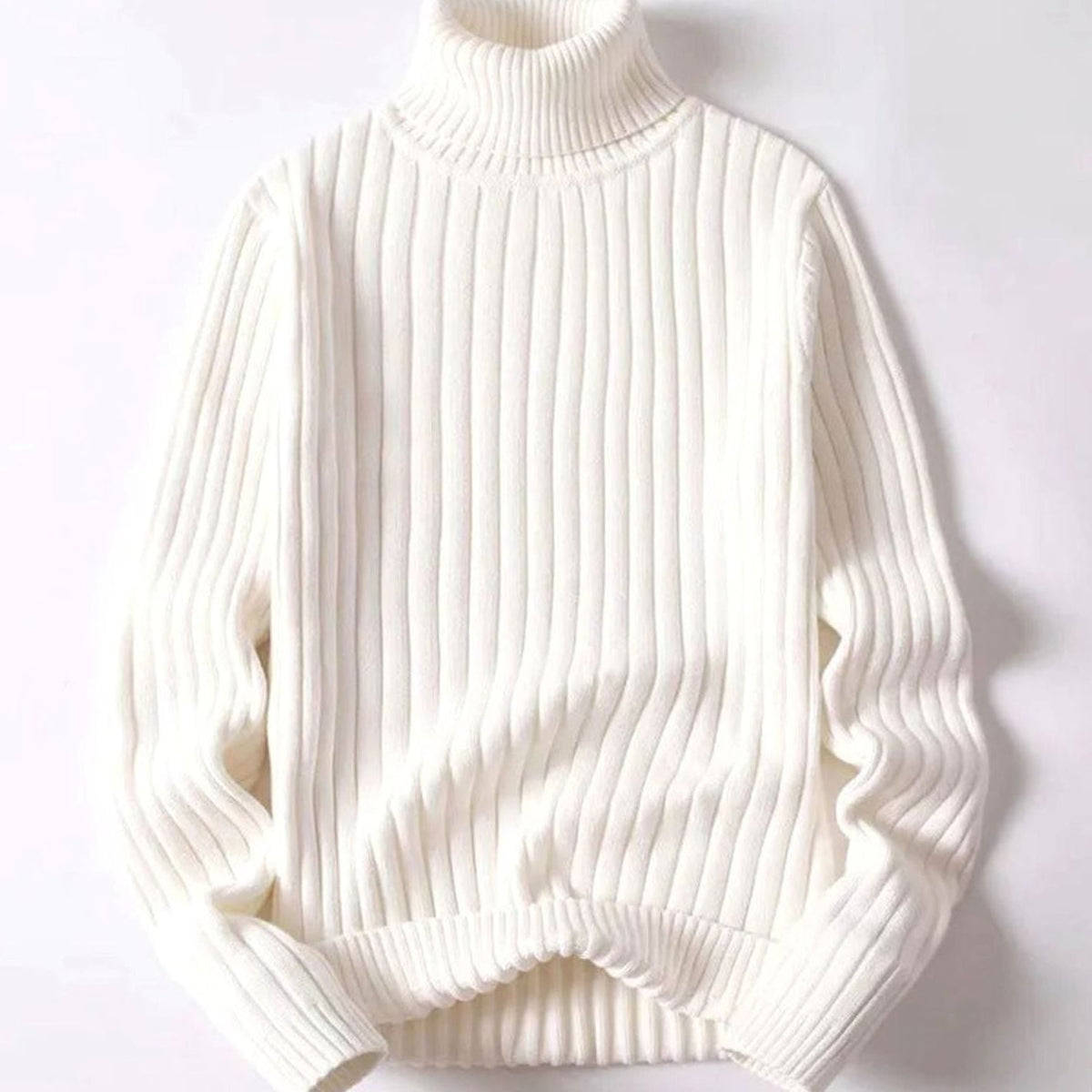 Women's Ribbed Roll Neck Knit Sweater